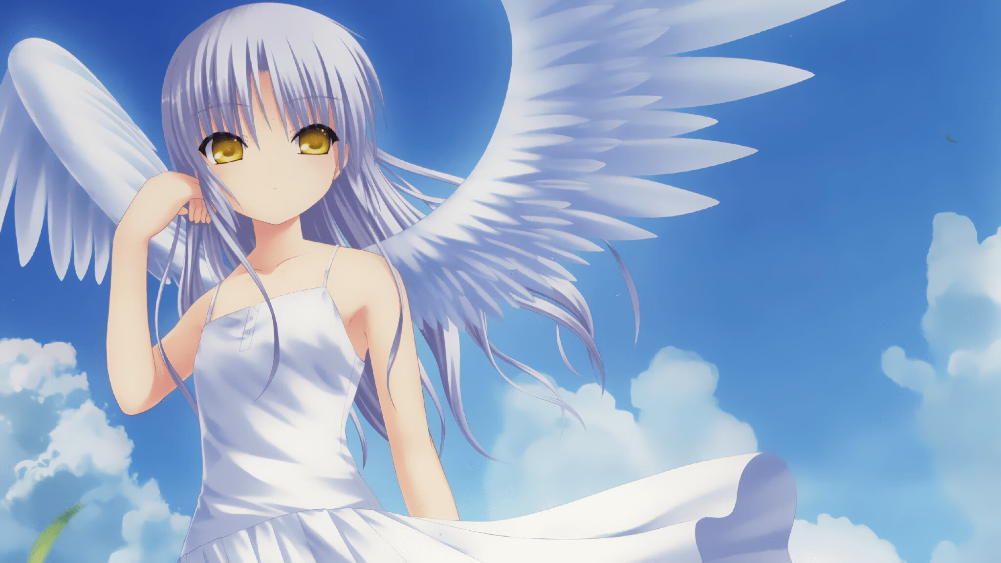 _红土盛放:泥土场上的激情与荣耀_,红土是红泥吗