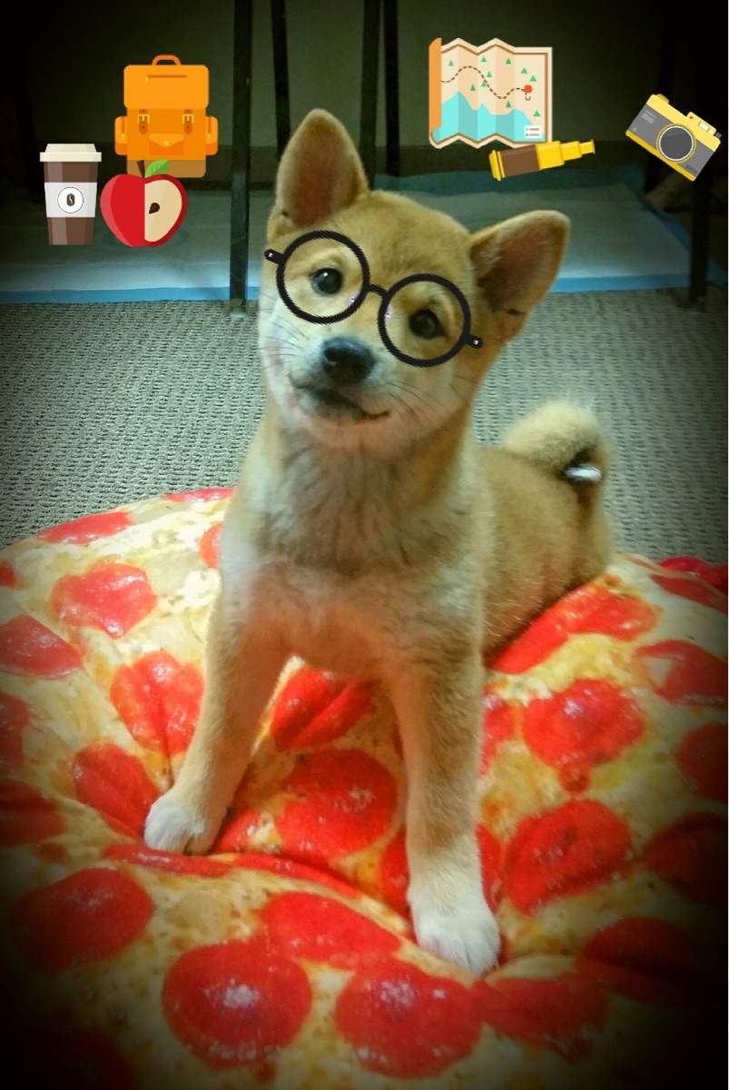 城市绿道骑行嘉年华，享受慢节奏的都市运动氛围，绿道骑行驿站