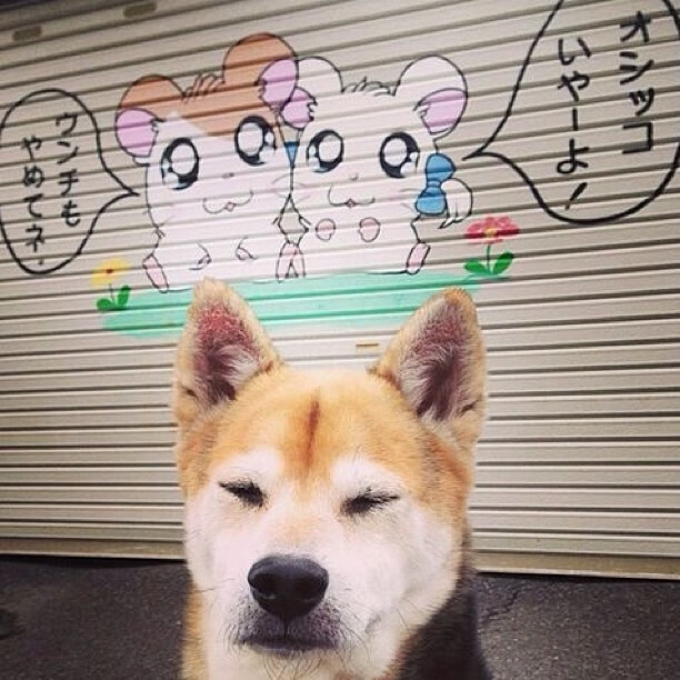 未来联盟：虚拟电竞实时互动，线上线下一体化新玩法，未来 电竞