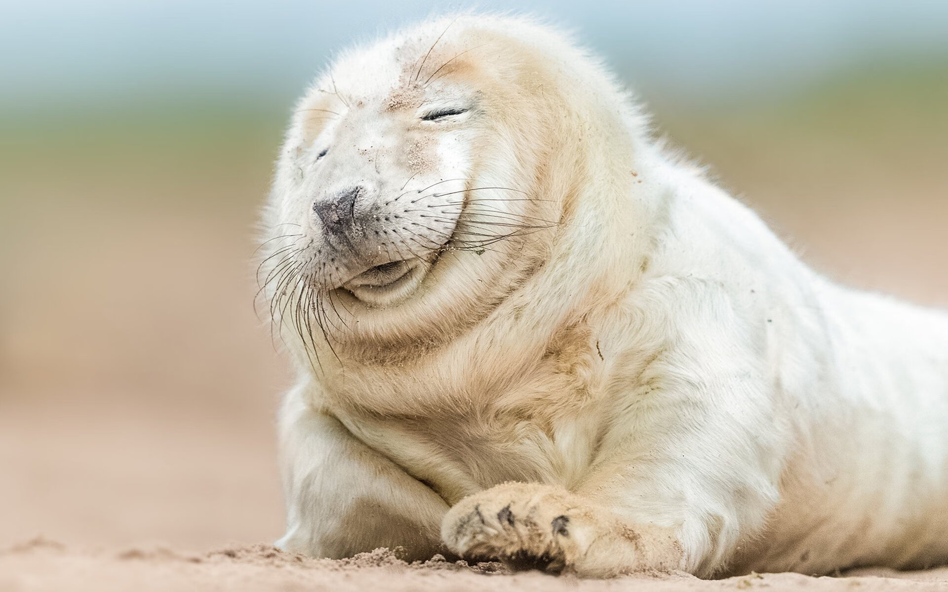 未来联盟:虚拟观赛、AR互动塑造新篮球体验,未来lol