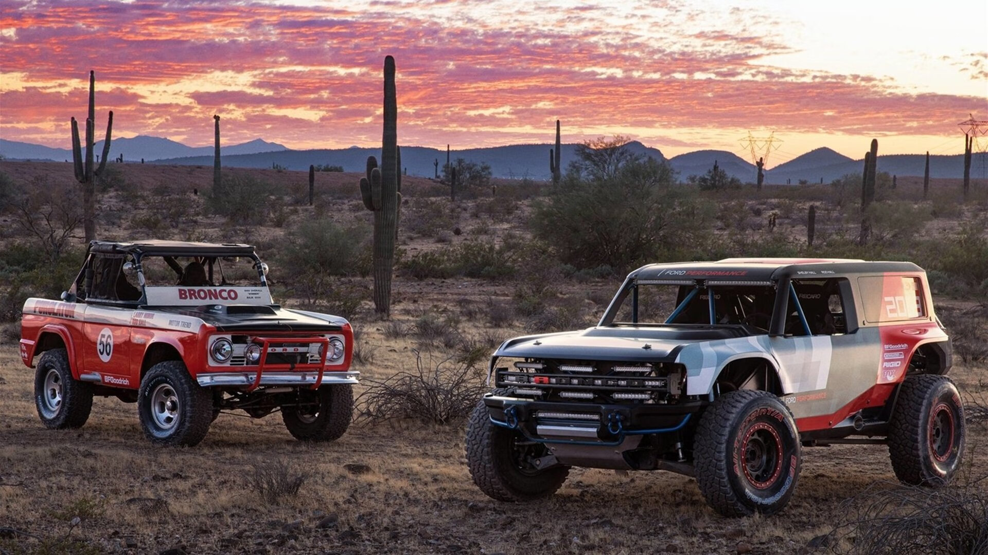 体育防线稳固，球队表现稳定，体育防守