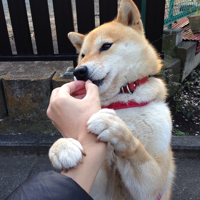 卡利亚里后卫犯错失分，球队遭遇不利结果，卡利亚里转会