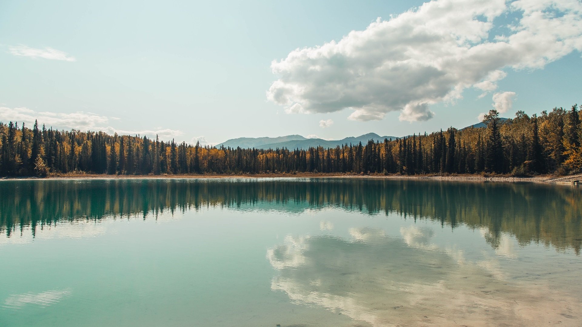 巴萨点球大战淘汰曼联，晋级欧冠四强，巴萨打曼联谁赢了
