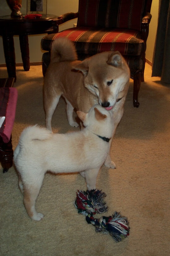 快船大胜森林狼，季后赛首轮中乔治锁死对手，快船对森林狼比赛预测