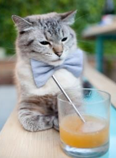 瑞士队在比赛场上展现出出色的防守表现，瑞士防守能力