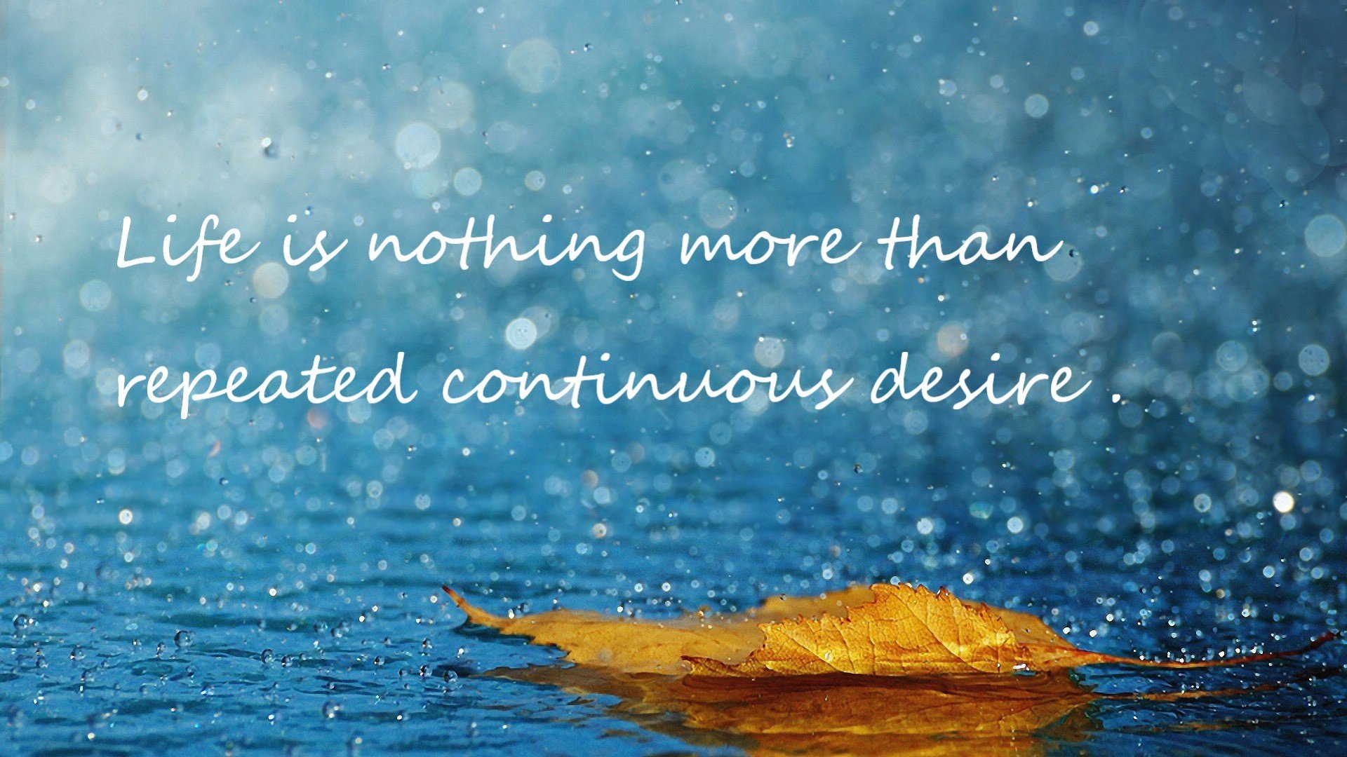 美洲篮球超级联赛巅峰对决，耀眼全场，美洲篮球冠军赛