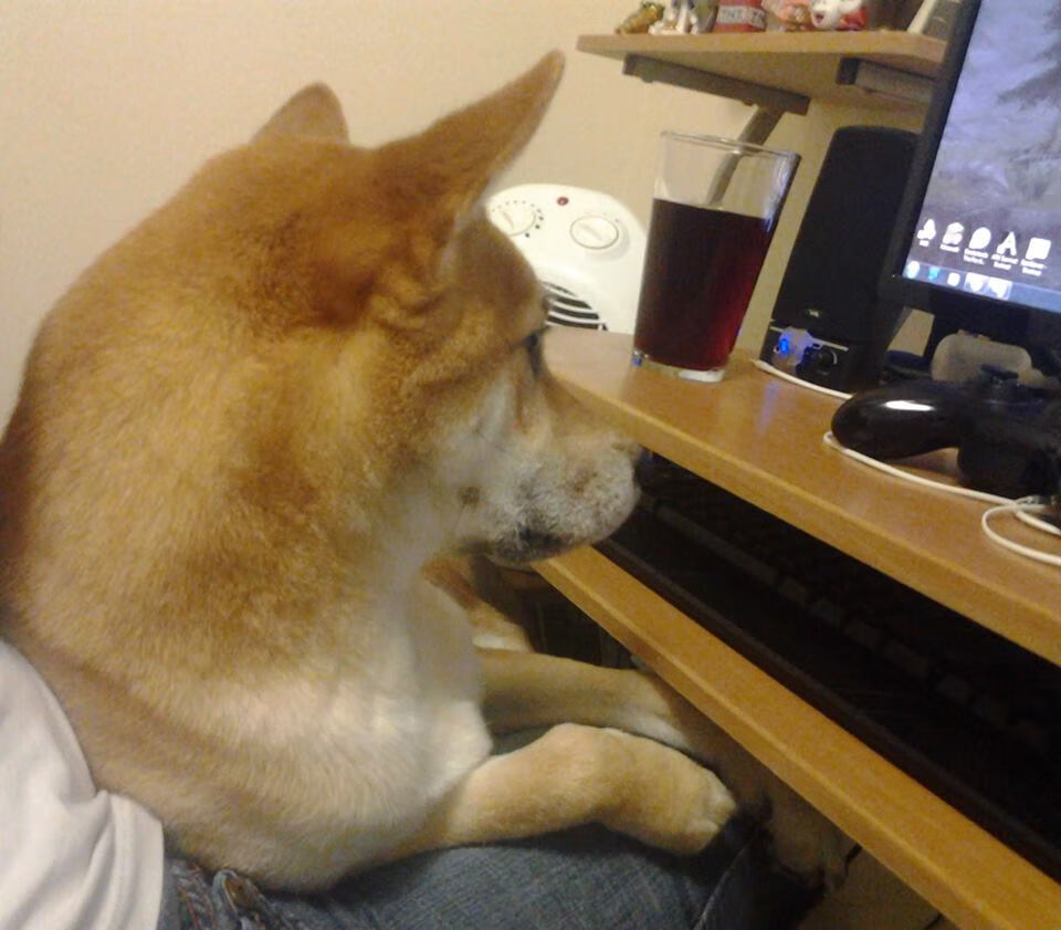 里昂在法甲联赛中排名第三，里昂在法甲联赛中排名第三是哪一年