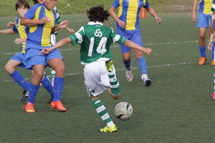 中国足球高密度传控战术回合成功统计，中国足球高密度传控战术回合成功统计