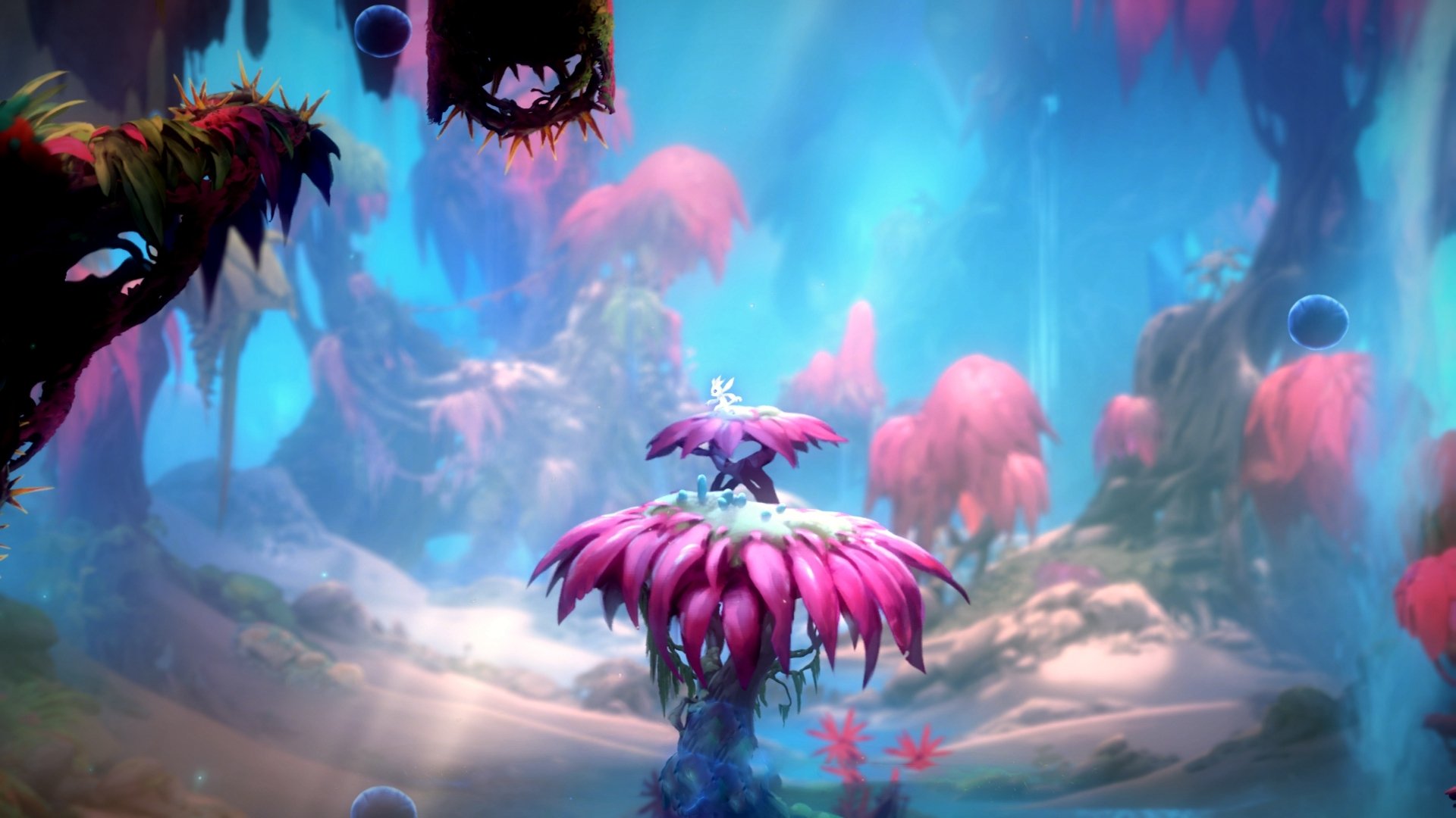 波兰队表现抢眼：国际乒联混合团体世界杯赛场亮点，波兰世界比赛完整