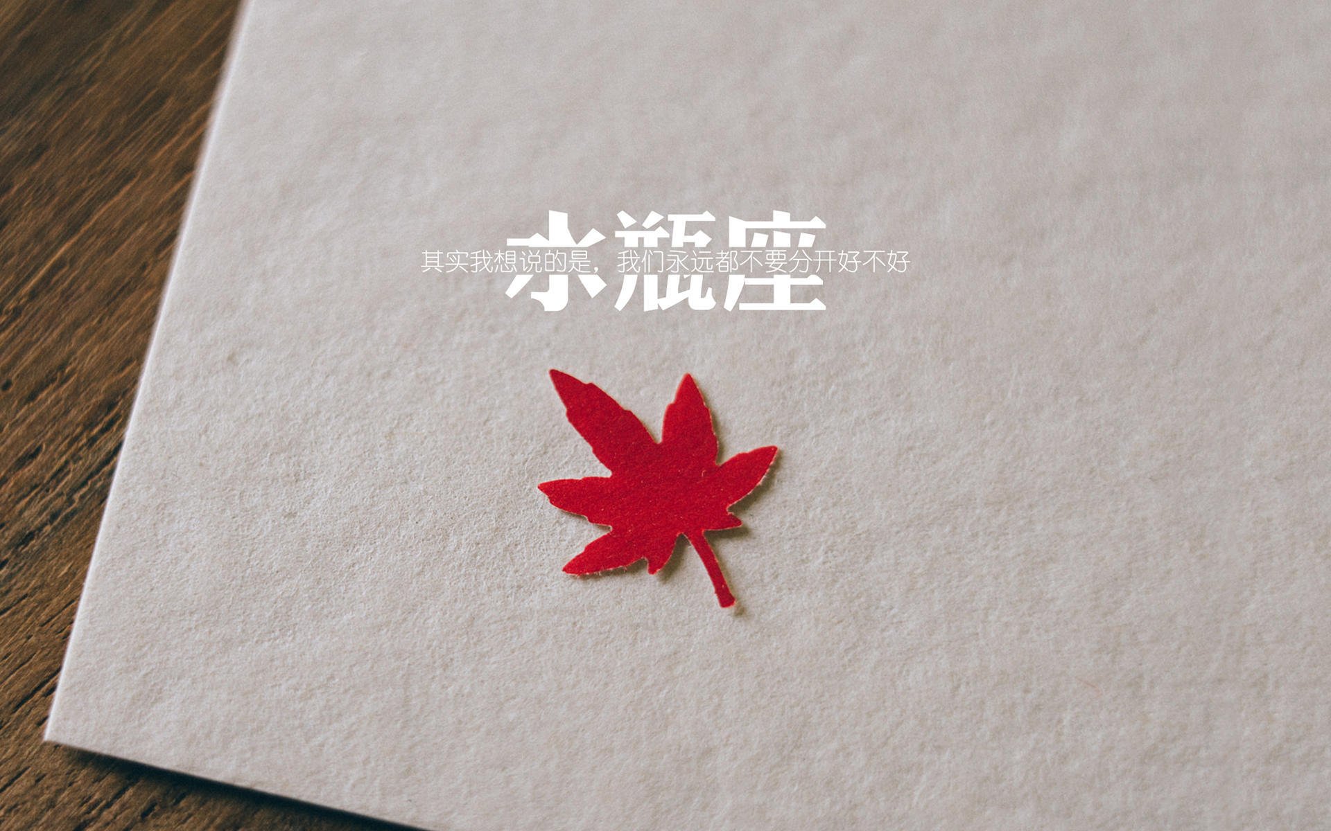 青年选手潜力被广泛看好，选拔年轻人